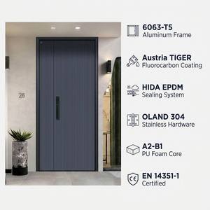 3mm All-Aluminum Minimalist Doors Custom Size Style Contemporary Decor Door