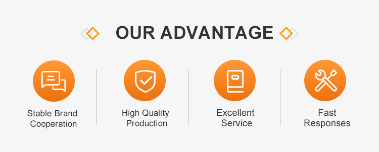 Our Advantage
