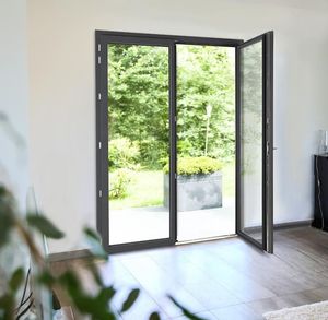CBMmart Aluminum Swing Casement Front Entry Door Double Glass Residential Gate