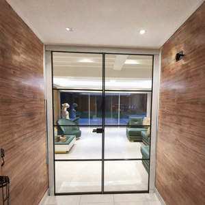 Modern Double Interior Steel French Glass Doors Clear Glass Black Finish For Bathroom Living Room Kitchen Outdoor Use Decoration
