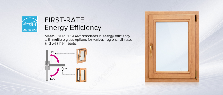 Architectural Window Design