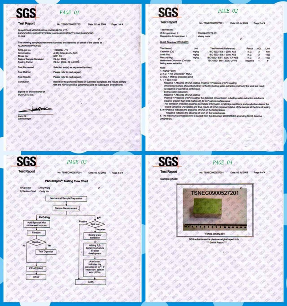 SGS Test Report