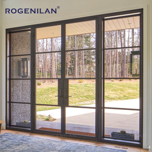 Custom Aluminum Crittall Tempered Glass Double Doors