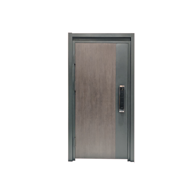 Pivot Door Design Feature 1