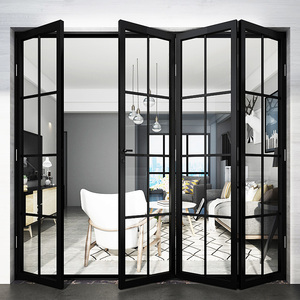 European Standard Interior Aluminum Alloy & Steel Framed Glass French Doors