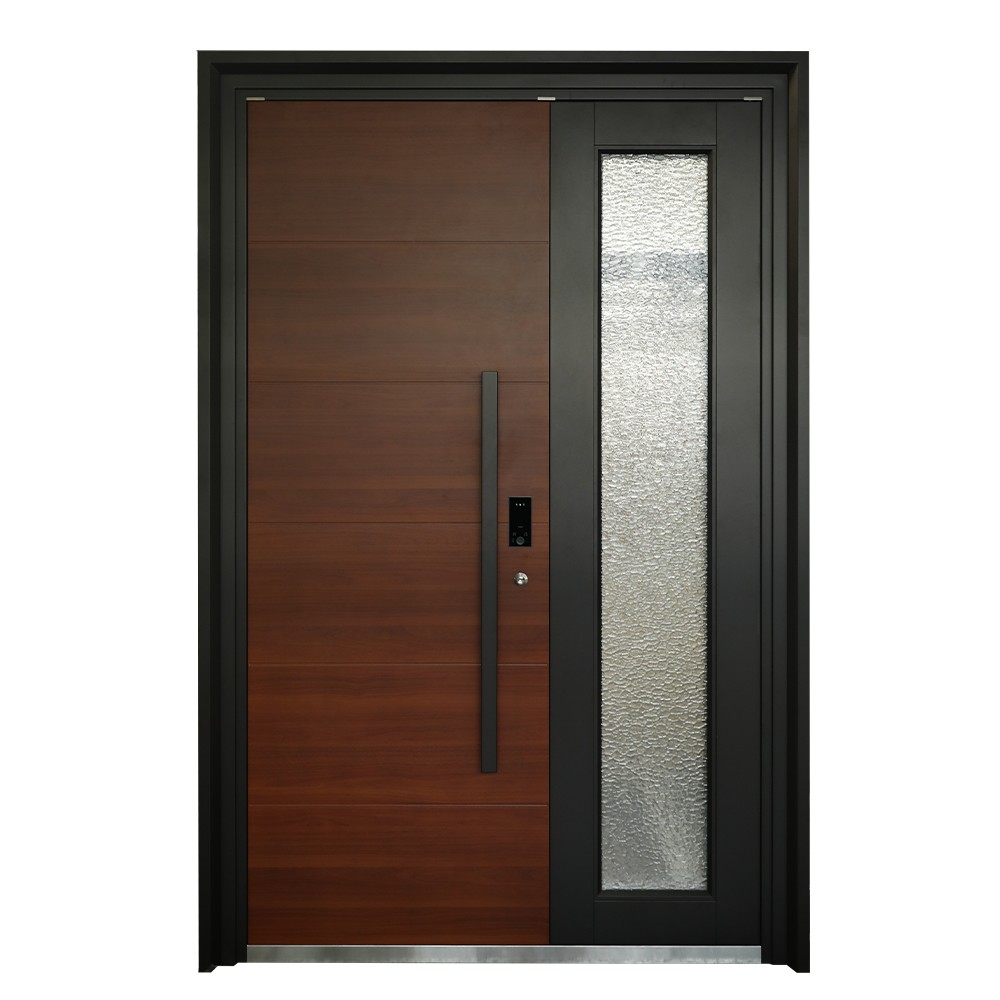 Door Design Interior View