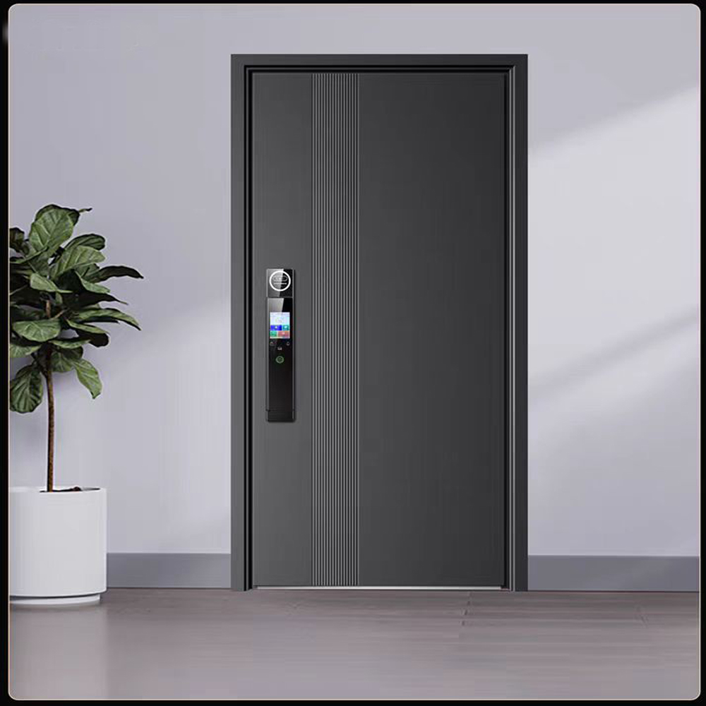 BST Ex-01 Modern Aluminium Anti-Theft Security Exterior Entry Door with 5 Year Warranty for Residential & Hotel Use