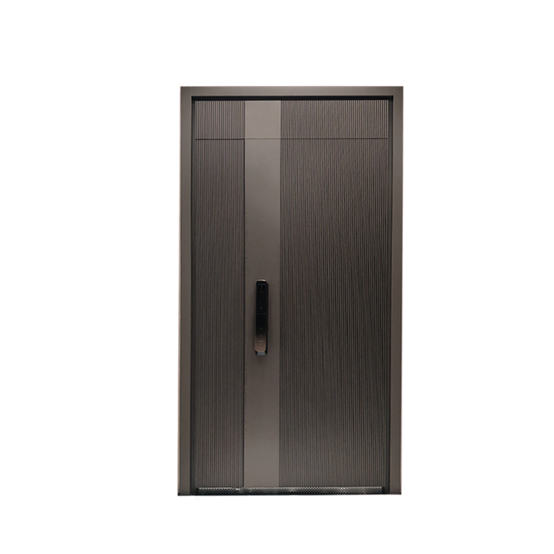 Pivot Door Overview