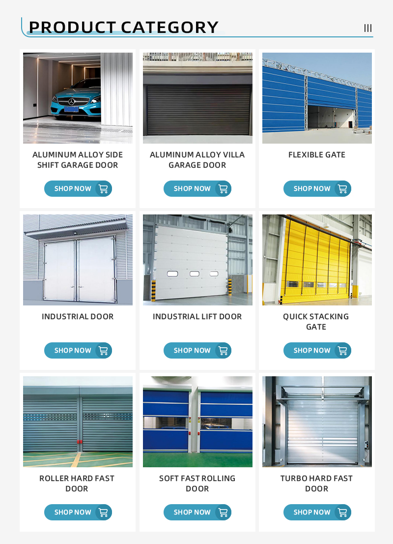 Motor Options