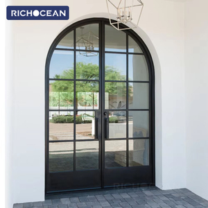 RICHOCEAN Customized Arched Aluminum Framed Swing Glass Door Crittall Style Entrance Metal French Doors for Homes