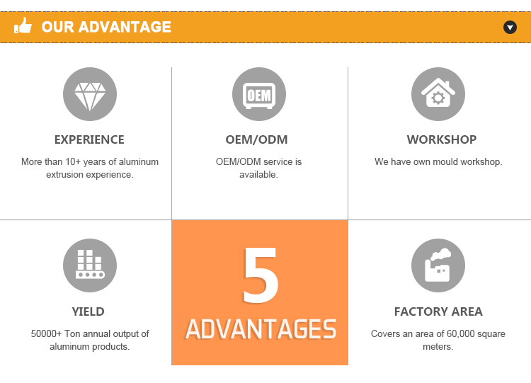 Manufacturing and service advantages