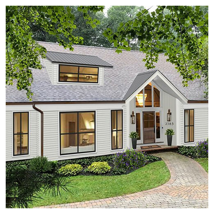 Hihaus New Custom Luxury Villas Black Crittall Aluminum Steel windows Fixed
