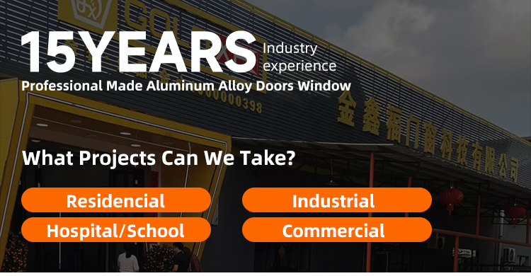 Folding Sliding Door Overview