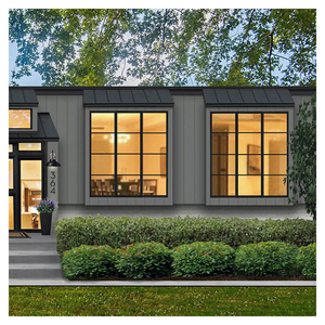Hihaus Custom Luxury Black Crittall Fixed Windows