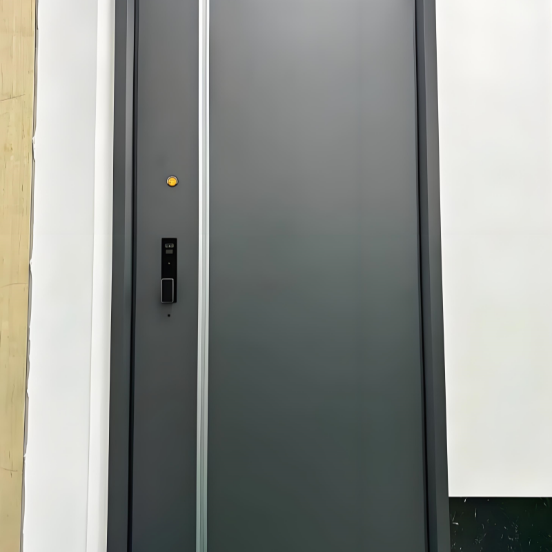 Modern Minimalist Design Aluminum Alloy Anti-Theft Entrance Security Door Double Door External Texture For Villa Hotel Use Ailuo