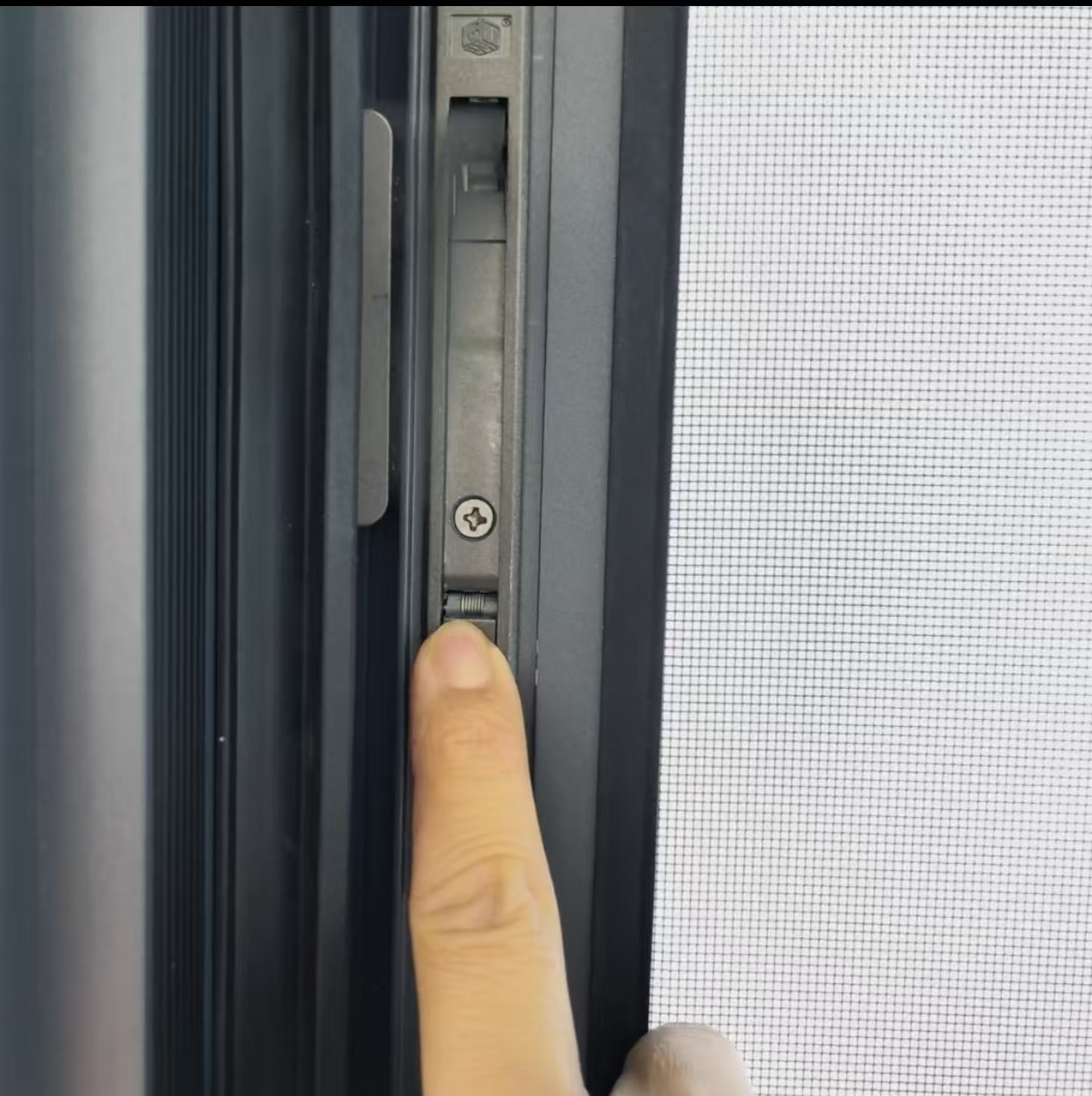 Detail Showcase 1
